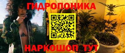 a pvp Аргун
