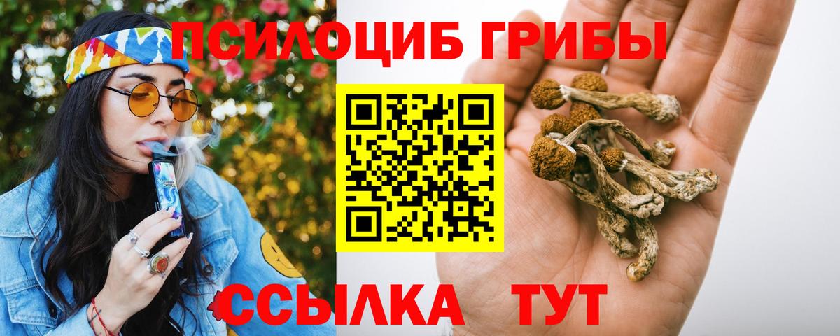 Вышний Волочёк  Псилоцибиновые грибы Magic Shrooms  Вход с VPN 